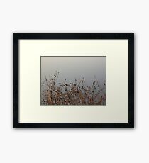 Waters Edge Framed Print