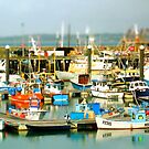 Newlin Harbour by newbeltane