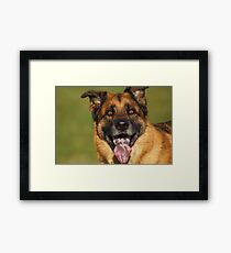 Bandito Framed Print