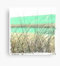 Seagrass Canvas Print