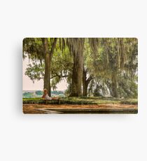 Tranquility at Bok Tower Gardens Metal Print