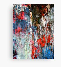Uncontained V Canvas Print