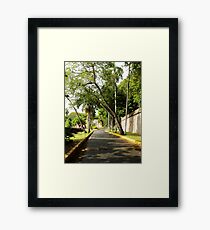 Puerto Rico Framed Print