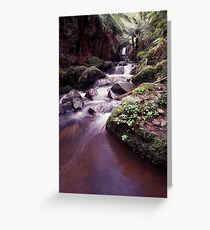 Sherbrooke Falls III Greeting Card