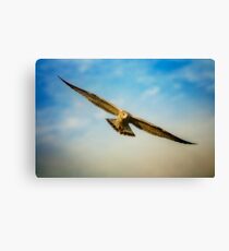 Span Canvas Print