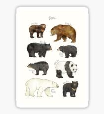 Bears Sticker