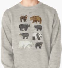 Bears Pullover