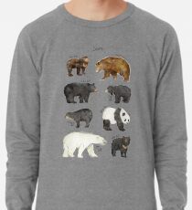 Sudadera ligera Osos