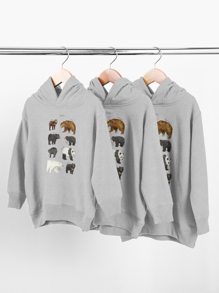 Alternate view of Bears Toddler Pullover Hoodie