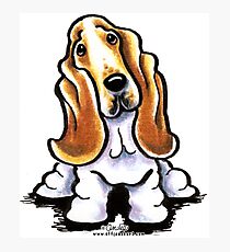Basset Hound Sit Stay Photographic Print