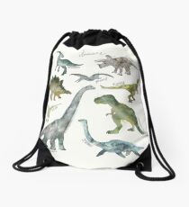 Dinosaurs Drawstring Bag