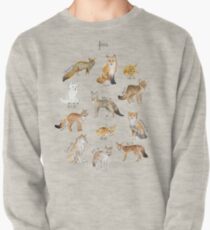 Foxes Pullover