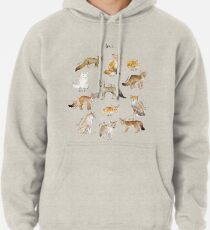 Foxes Pullover Hoodie