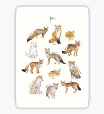Foxes Sticker