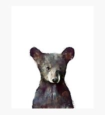 Little Bear Photographic Print