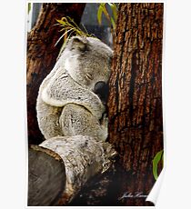 Sleepy Time Poster