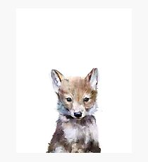 Lámina fotográfica Pequeño lobo