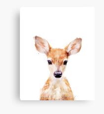 Little Deer Canvas Print