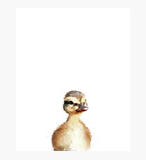 Little Duck Photographic Print