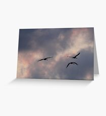 Headin' to the Roost Greeting Card