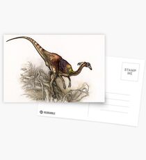 Kinnareemimus Postcards