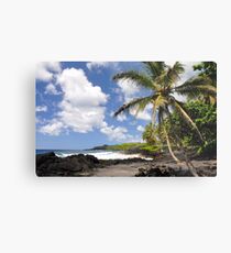 Big Island Metal Print