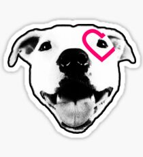 Heart over eye Pittie Sticker