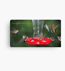 Hummingbird Family Reunion 2012 Canvas Print