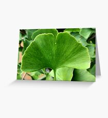 Ginkgo leaf Greeting Card