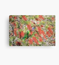 Where am I? Canvas Print