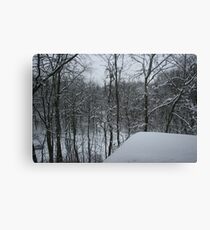 Winter Scene Canvas Print