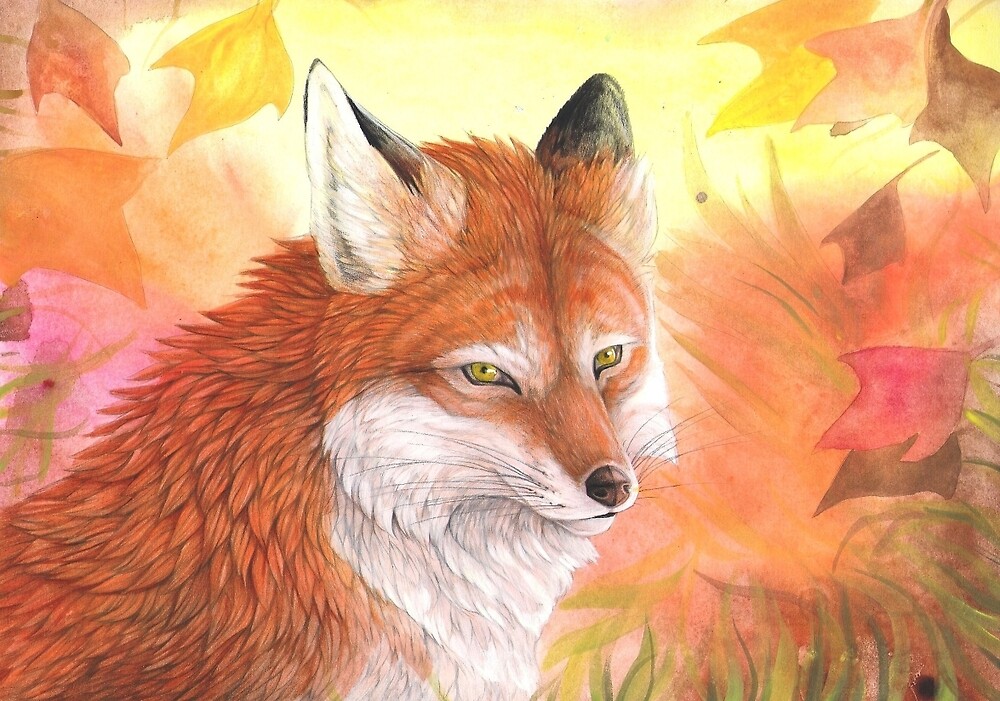 “Autumn Fox” by Dawn Paws | Redbubble