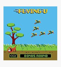 Mighty Ducks Flying V/Duck Hunt Photographic Print