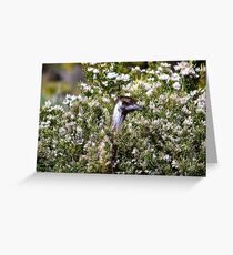 They look nice, they smell nice and they taste nice. Greeting Card