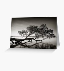 Rest Greeting Card