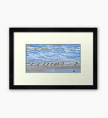 We're following the leader... Sandpipers in Goleta Beach California Framed Print