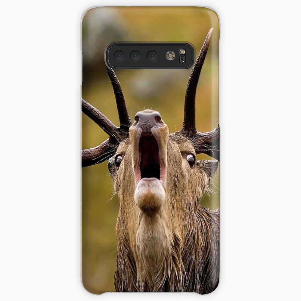 A Royal Proclaimation Case & Skin for Samsung Galaxy