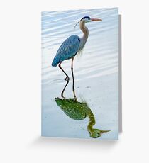 Blue Heron Greeting Card