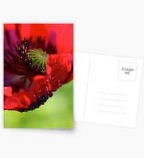 Poppy. Postcards