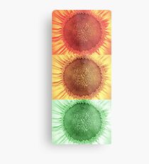 Traffic Lights Metal Print