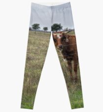 Da Brown Cow Leggings
