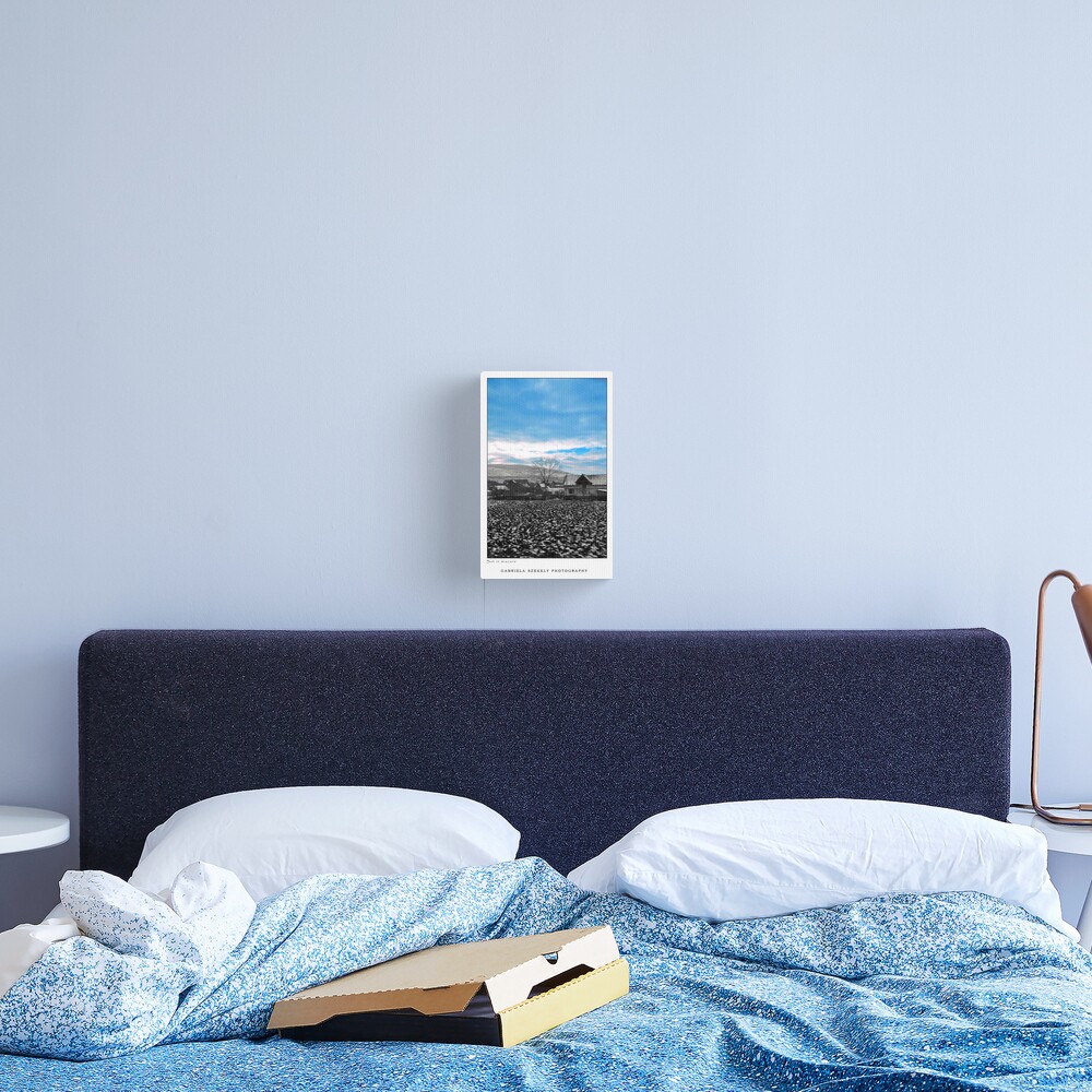Village in motion Canvas Print