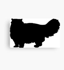 Persian Cat Canvas Print