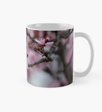 Kirschblüte - Cowra japanische Gärten Tasse (Standard)