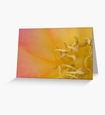 Untitled Greeting Card