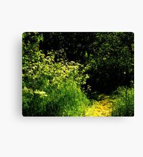 Mown Path Canvas Print