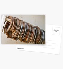 Horse Shoes Postcards