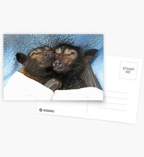 Errol and Luna - Spectacled Flying Fox Postcards