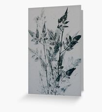 Leaf Collection 2 Greeting Card