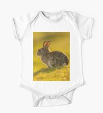 Cute Rabbit Wildlife Golden Hour One Piece - Short Sleeve